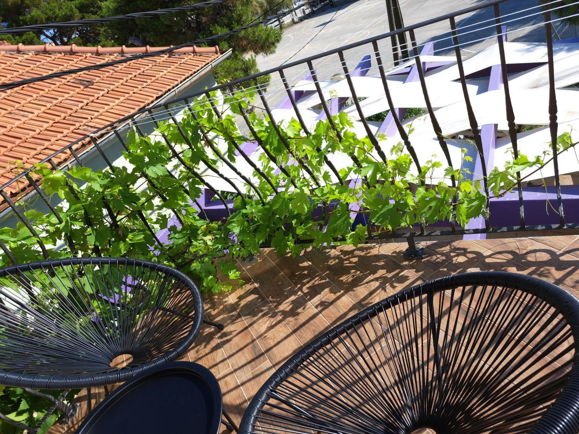 Jardin Kapetanova Kuca Lägenhet Veli Iž Exteriör bild