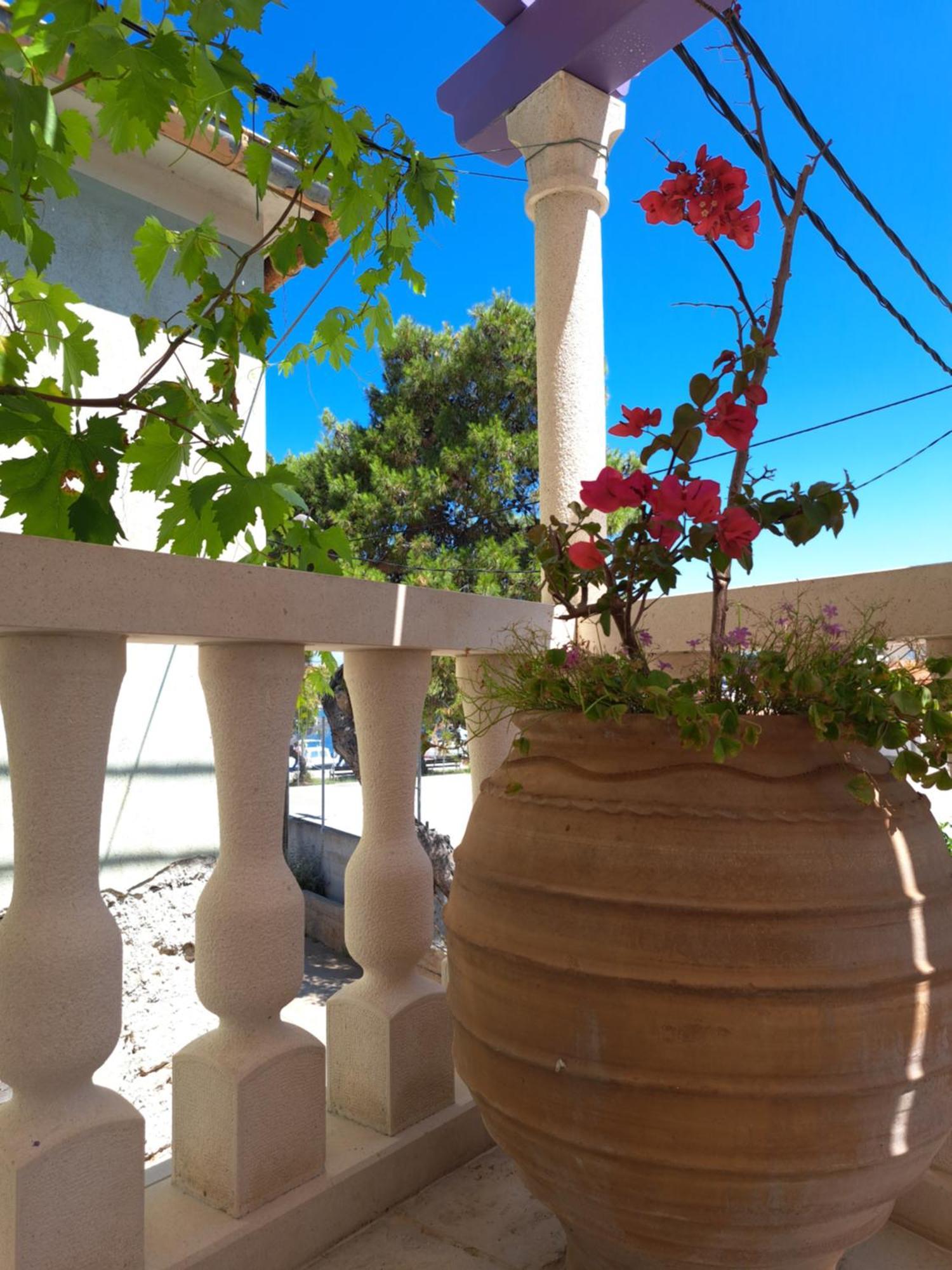 Jardin Kapetanova Kuca Lägenhet Veli Iž Exteriör bild